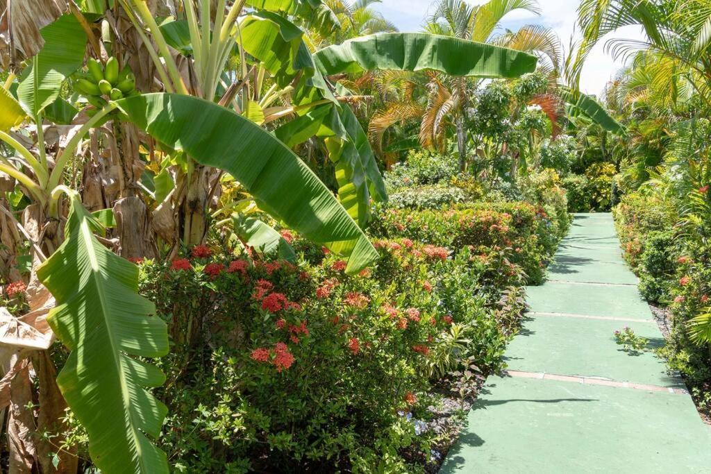 Perle Des Caraibes , Bungalow Moderne N° 14 Le Gosier  Εξωτερικό φωτογραφία
